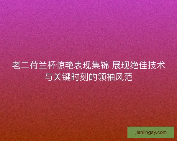 老二荷兰杯惊艳表现集锦 展现绝佳技术与关键时刻的领袖风范
